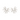 Sole Mio Earrings